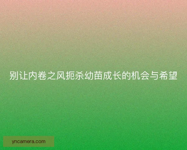 别让内卷之风扼杀幼苗成长的机会与希望