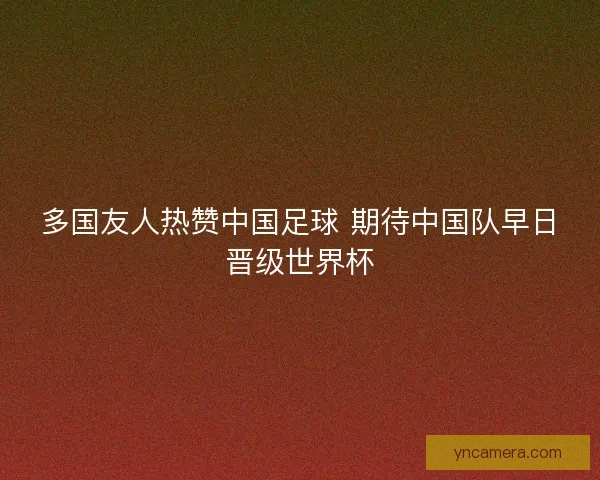 多国友人热赞中国足球 期待中国队早日晋级世界杯